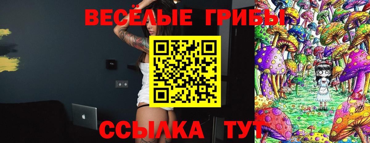 Галлюциногенные грибы Cubensis Тайшет