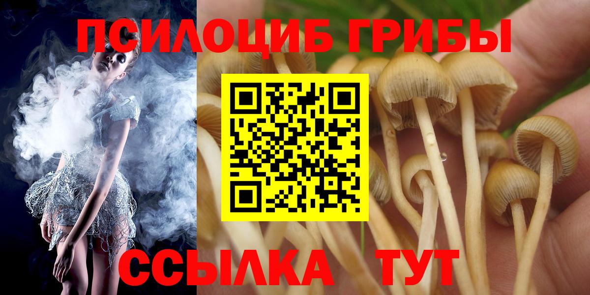 Галлюциногенные грибы MAGIC MUSHROOMS  Вход с VPN  Галлюциногенные грибы Cubensis  Тайшет 